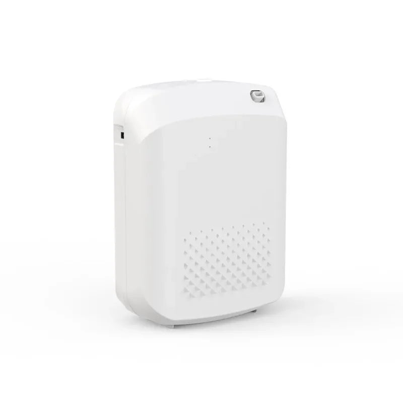 NAMSTE Smart Aroma Diffuser Hotels professional Fragrance Diffuser 1000m³  Large Room Aroma Machine With Fan Bluetooth Control