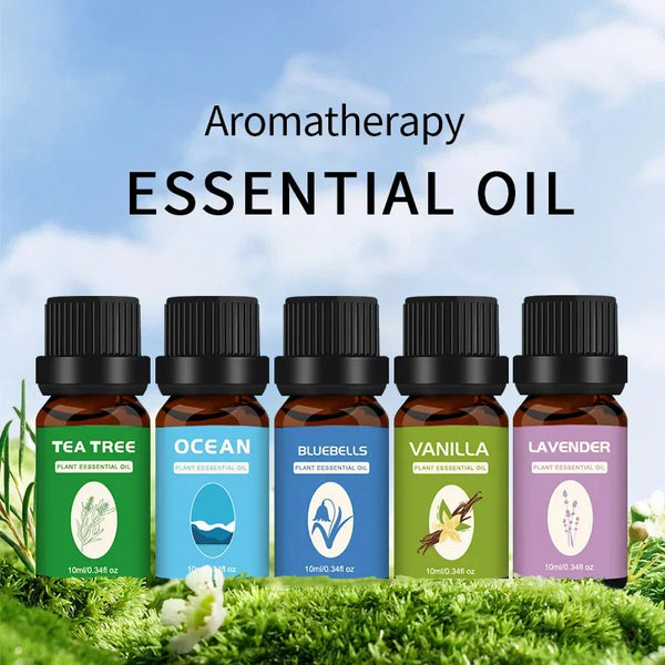 Aromatherapy essential oil Humidifier